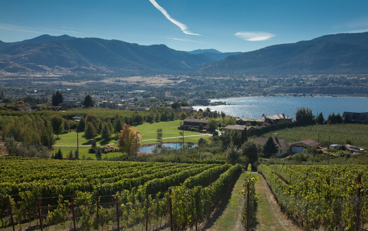 Over looking Penticton from a vineyard