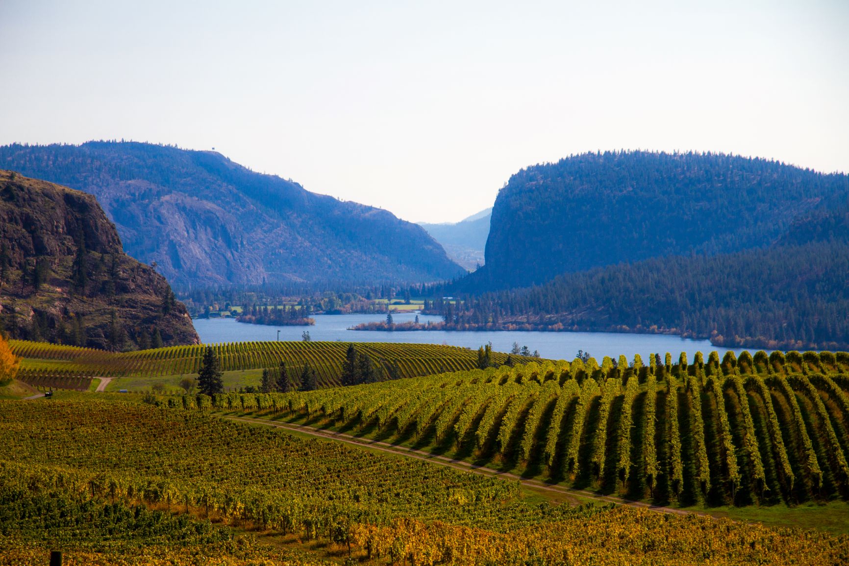 View from Blue Mountain Vinyards over looking Vaseux lake and McIntyre Bluffs